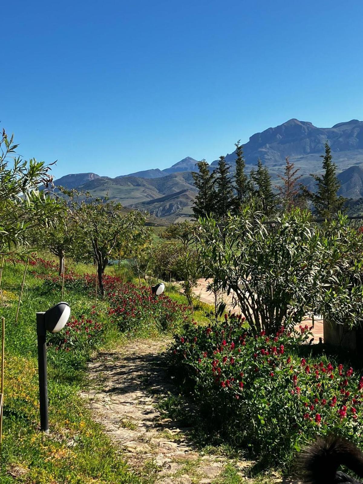 Le Case Di Cardellino - Agrispa Sclafani Exterior foto